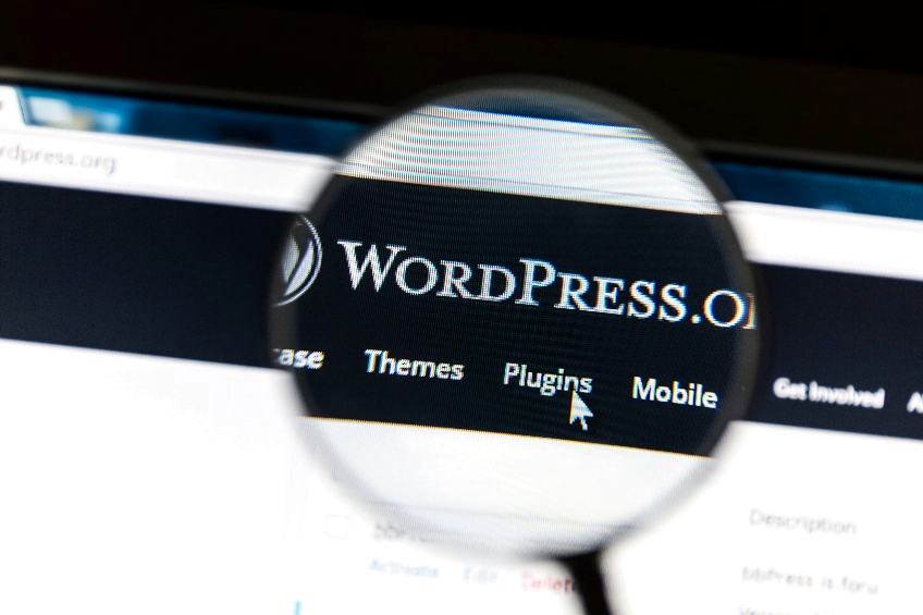 Comprehensive Guide to WordPress Dashboard Access and Management