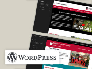 Customizing WordPress Site Header, Footer, and Sidebar for CAES at the University of Georgia