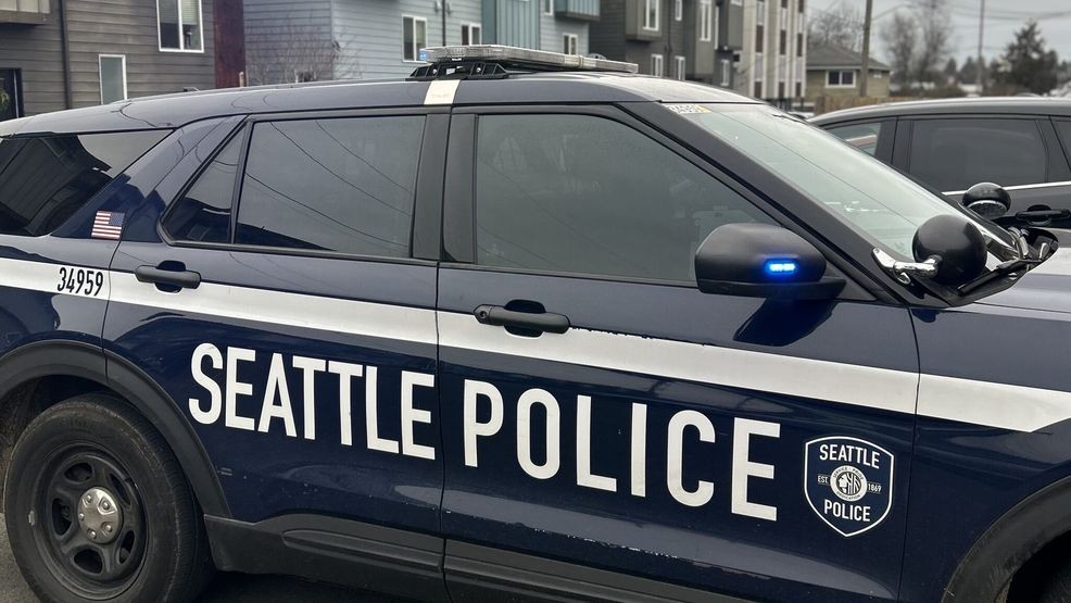 Seattle Mother Arrested for Homicide After Son Dies in Domestic Violence Incident